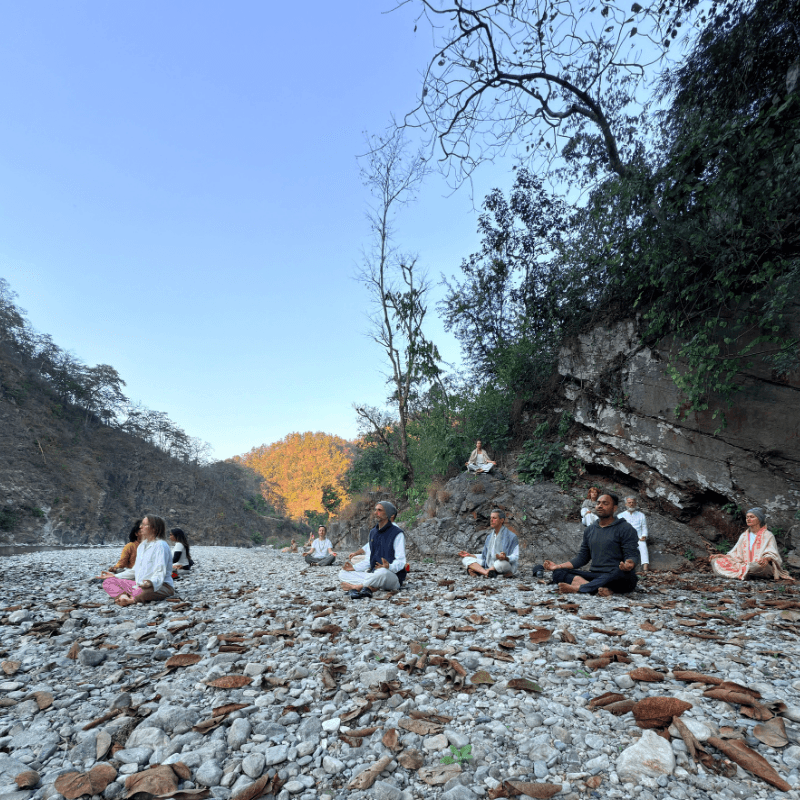 Image 12