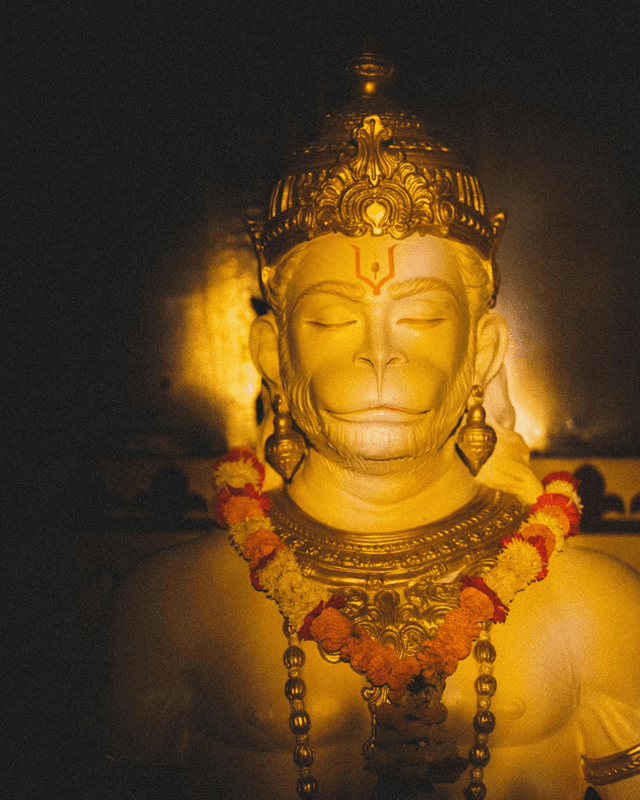 Anand Prakash Yoga Ashram Trust